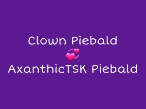 WhatsApp Bild 2025-05-28 um 20.07.52_97fd3811